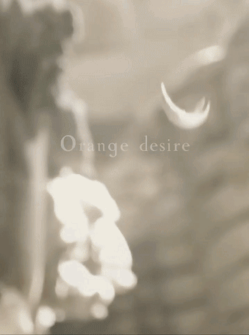e0345e63e07b4619f90e73b085400a04.gif