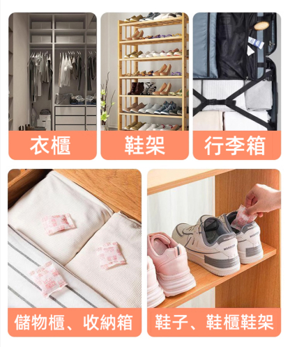 驅蟲防黴花香樟腦丸