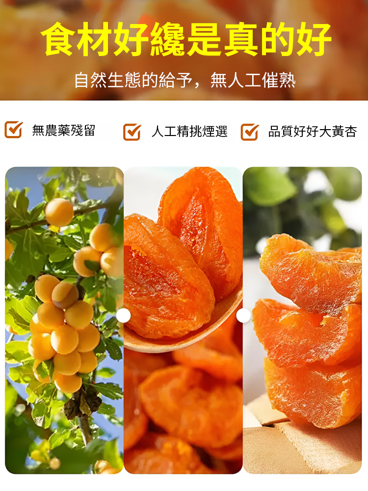 農家天然無核金杏乾