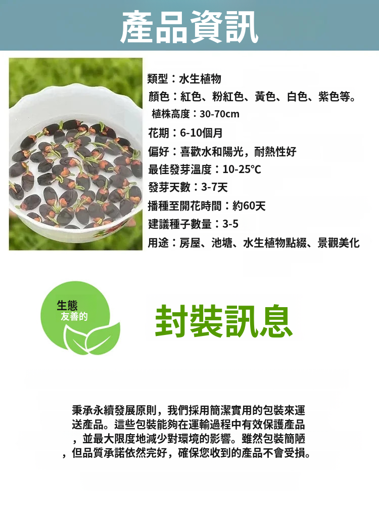 【轉運招財】觀賞水培碗蓮