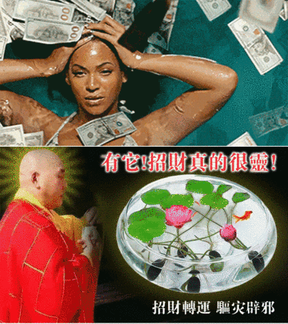 【轉運招財】觀賞水培碗蓮