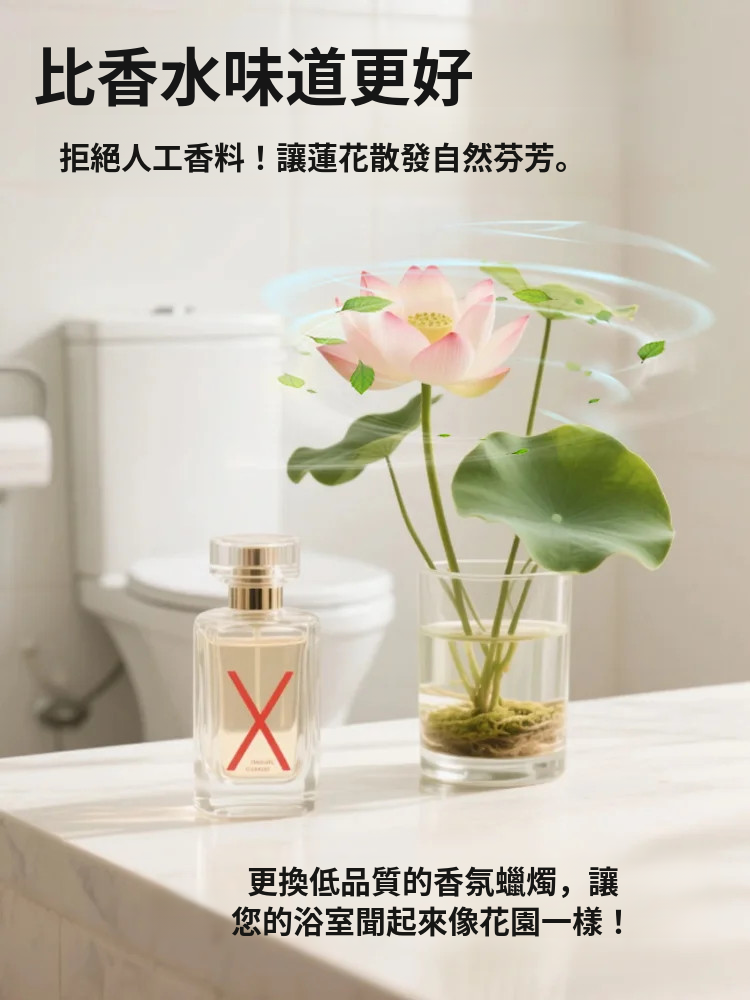 【轉運招財】觀賞水培碗蓮