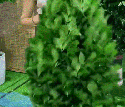 20240712_155657_160.gif