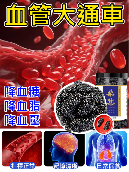 【特級降血糖】桑葚乾保健品