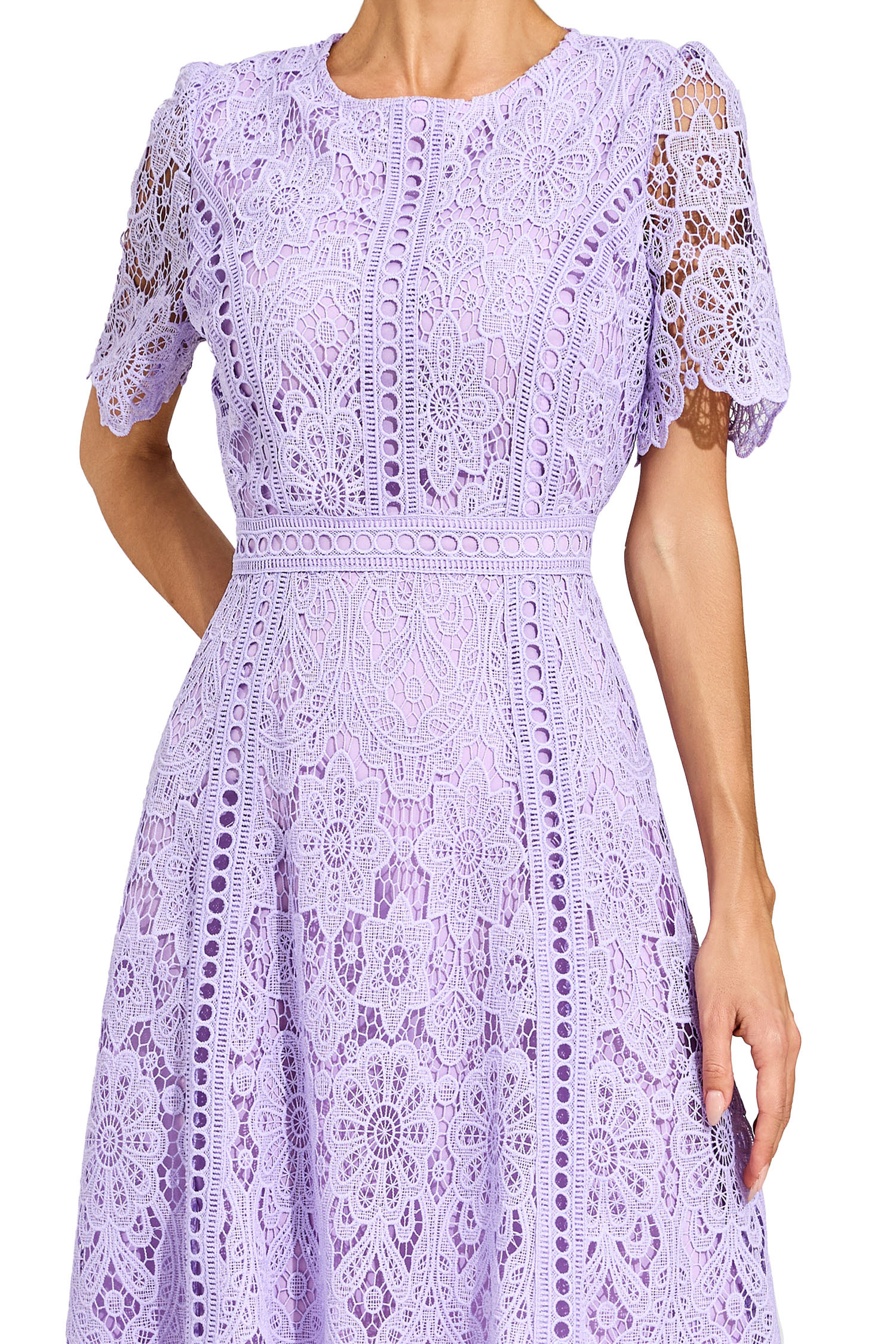 Gordon Purple Lace Cut Out Midi Dress