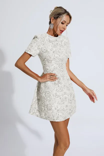 Pitman Silver Jacquard Floral Mini Dress