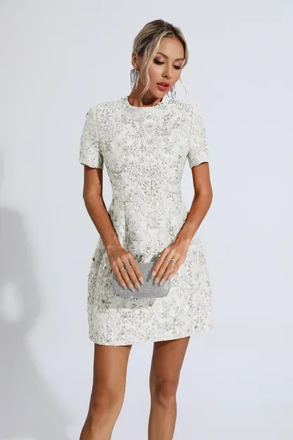 Pitman Silver Jacquard Floral Mini Dress