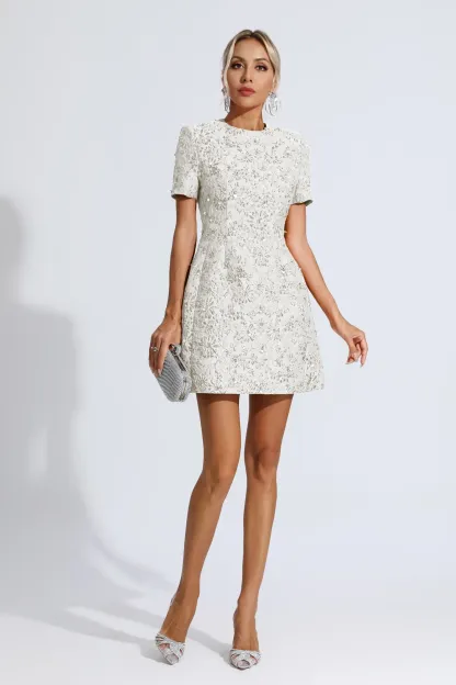 Pitman Silver Jacquard Floral Mini Dress