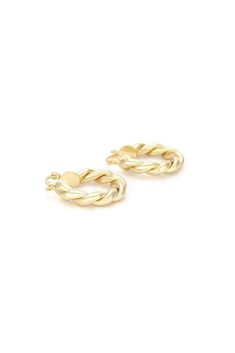 Hyacinth Spiral Circle Earrings