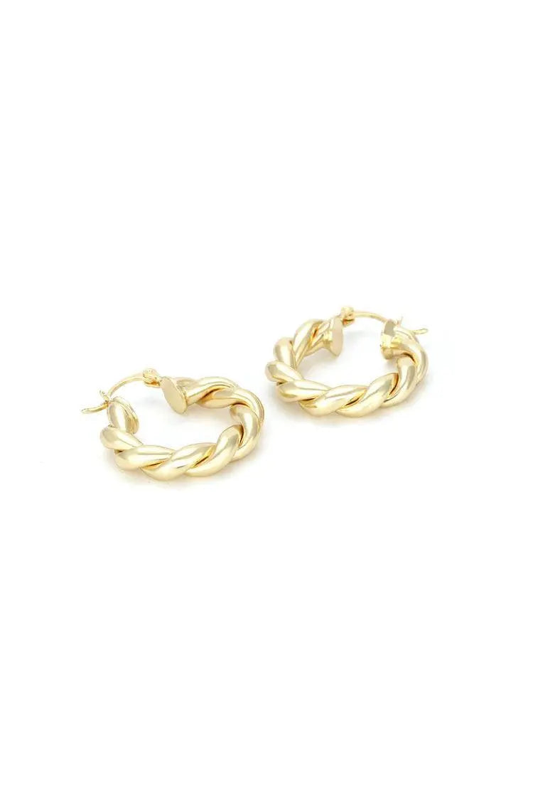 Hyacinth Spiral Circle Earrings