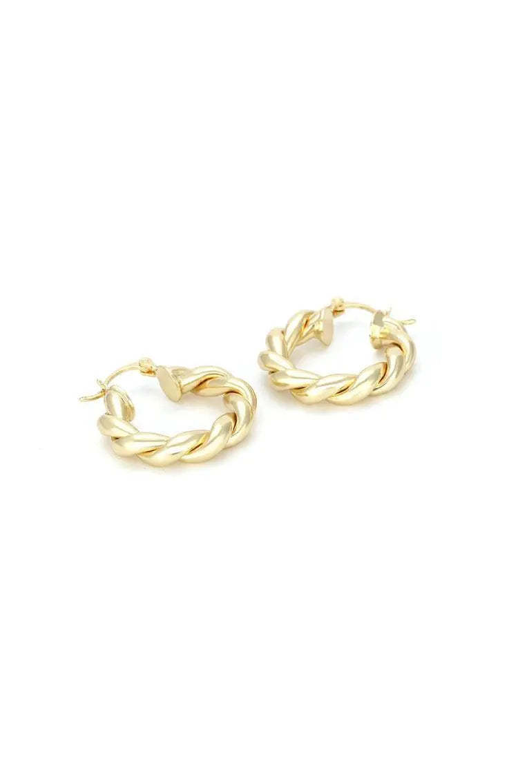 Hyacinth Spiral Circle Earrings