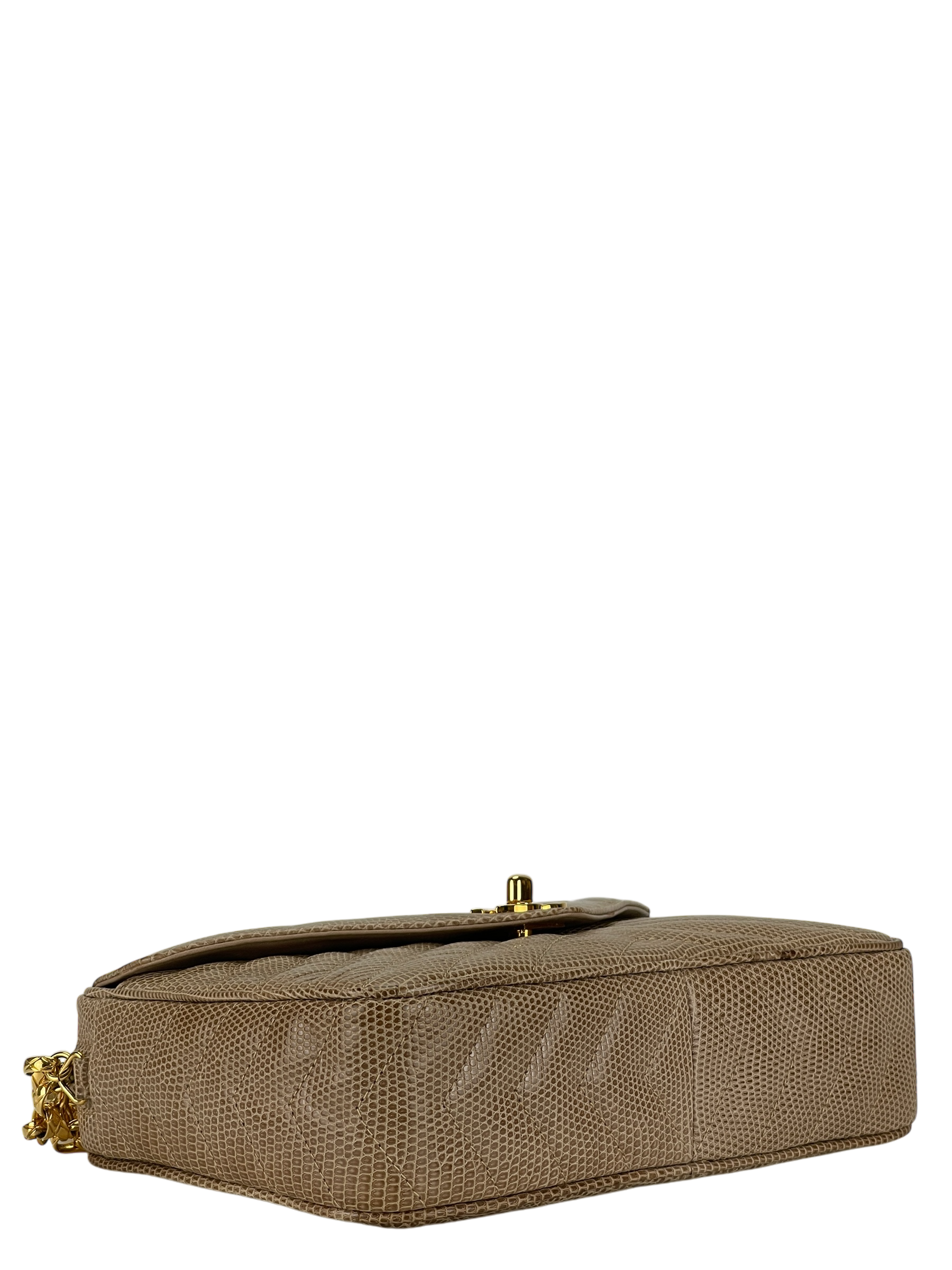 CHANEL - Lizard Leather Fringe Camera Chain Shoulder Bag 