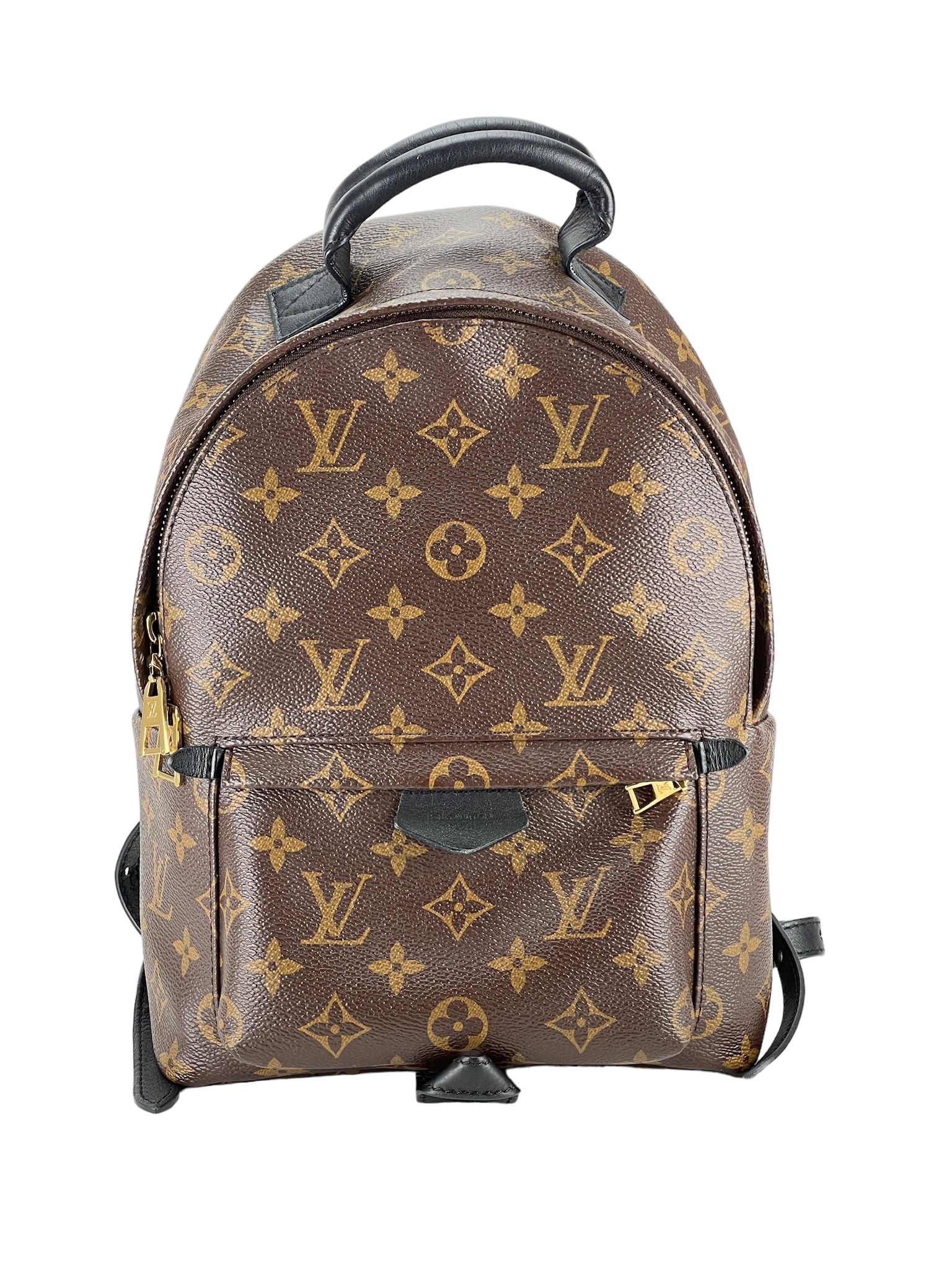 LOUIS VUITTON -  Monogram Palm Springs Backpack