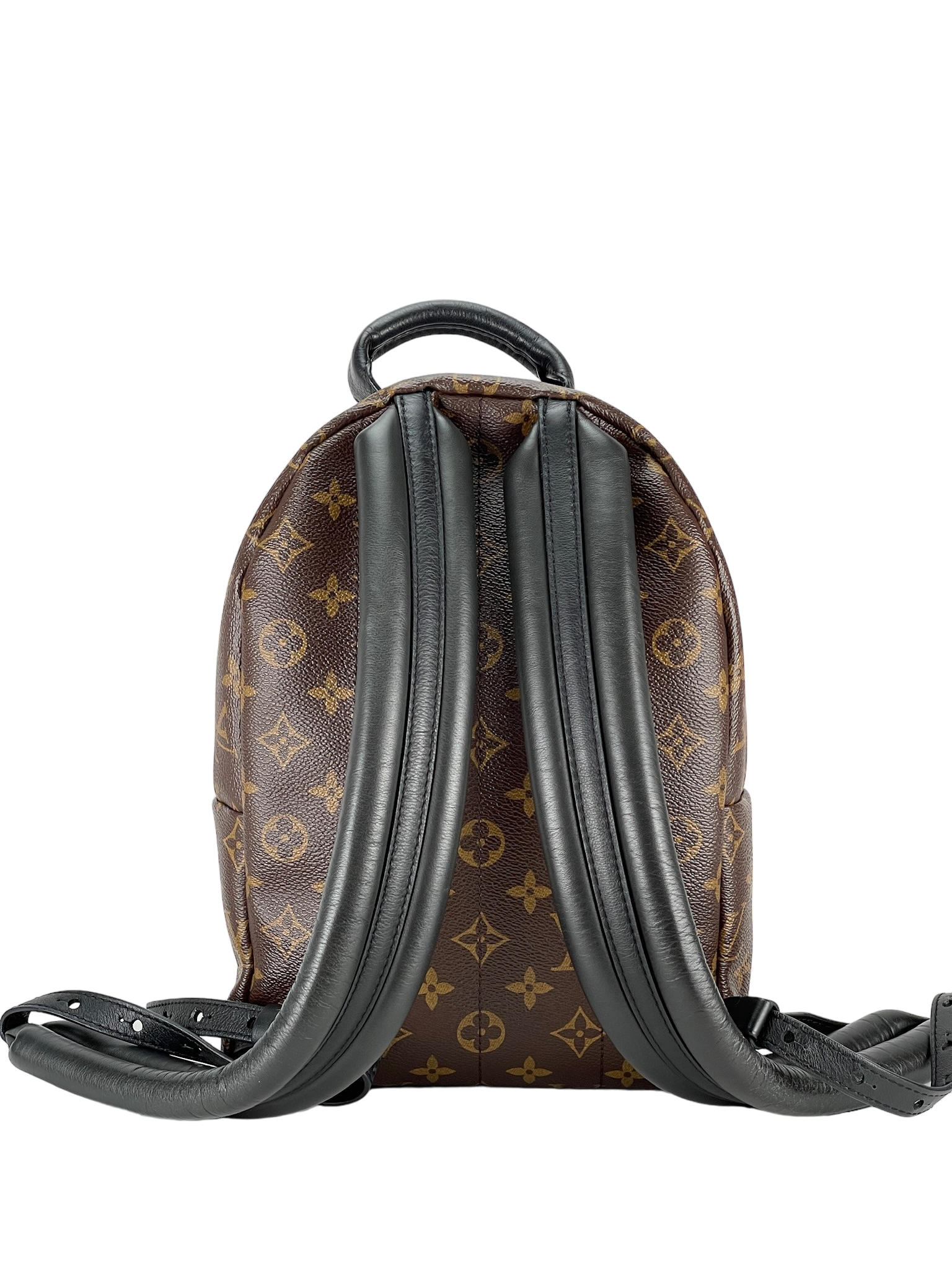 LOUIS VUITTON -  Monogram Palm Springs Backpack