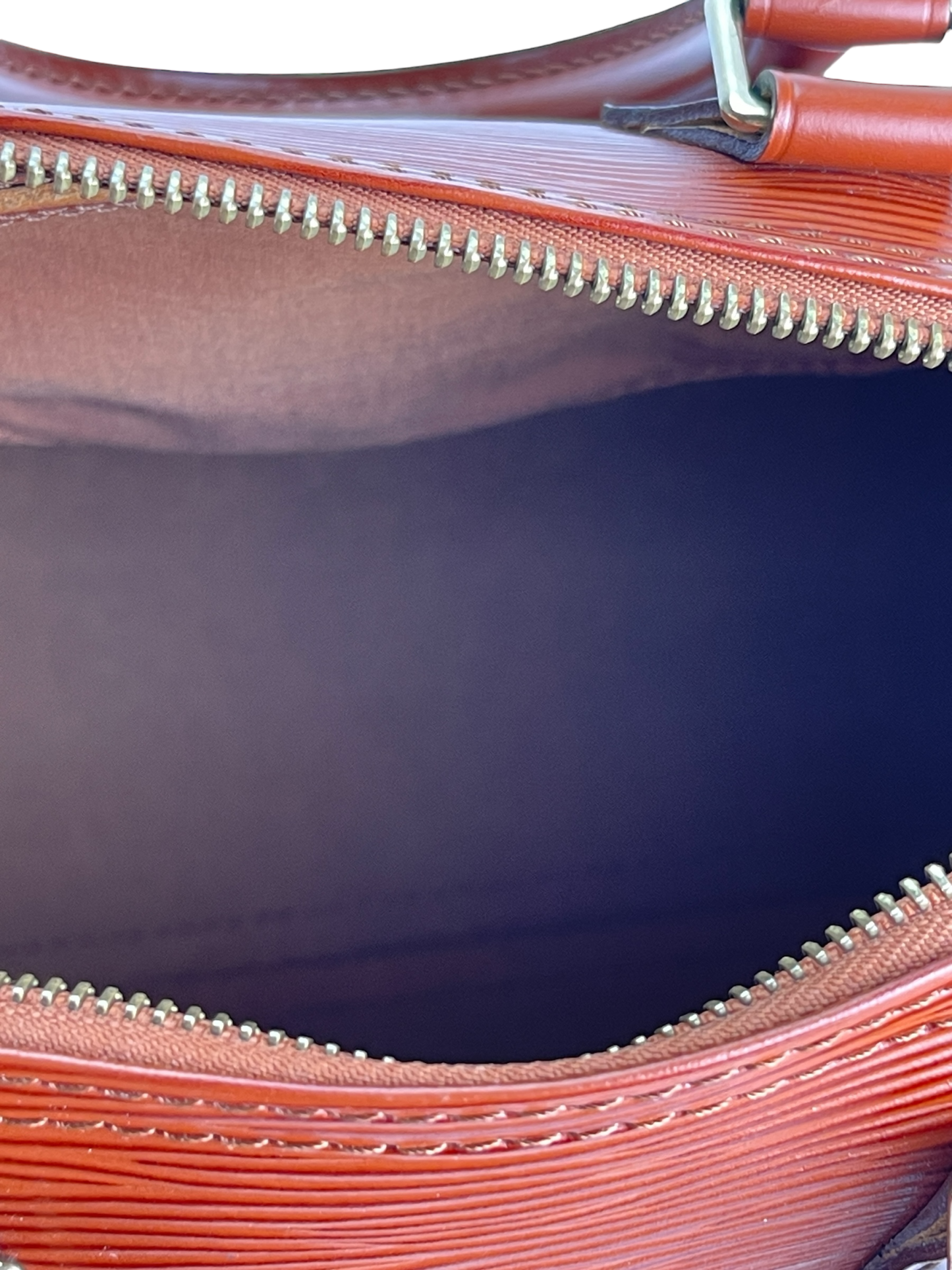 LOUIS VUITTON - Brown Epi Speedy 25 bag