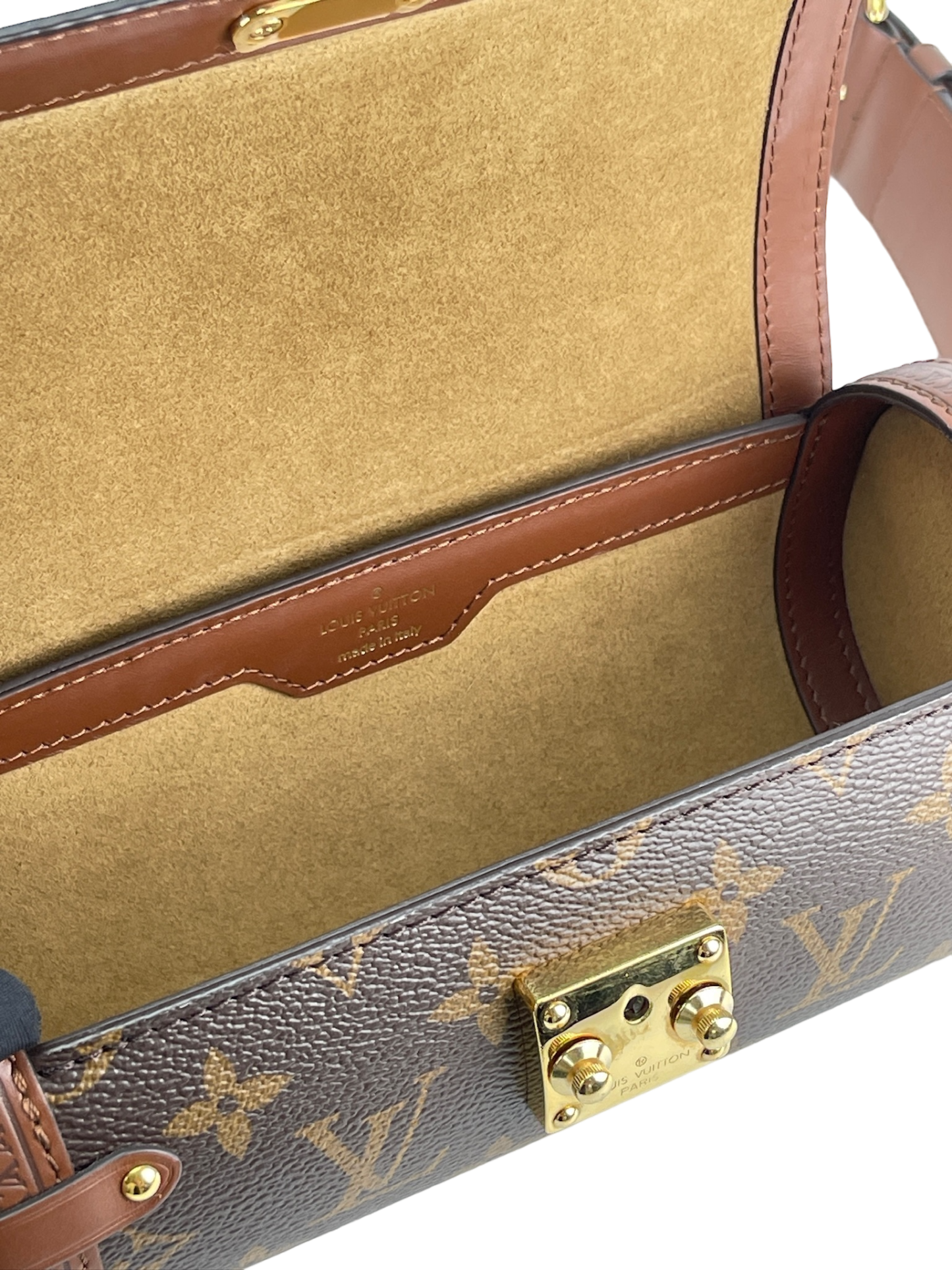 LOUIS VUITTON - Monogram Papillon Trunk Bag