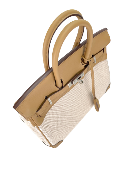 HERMES - Birkin 25 Toile H and Chai Swift Palladium Hardware