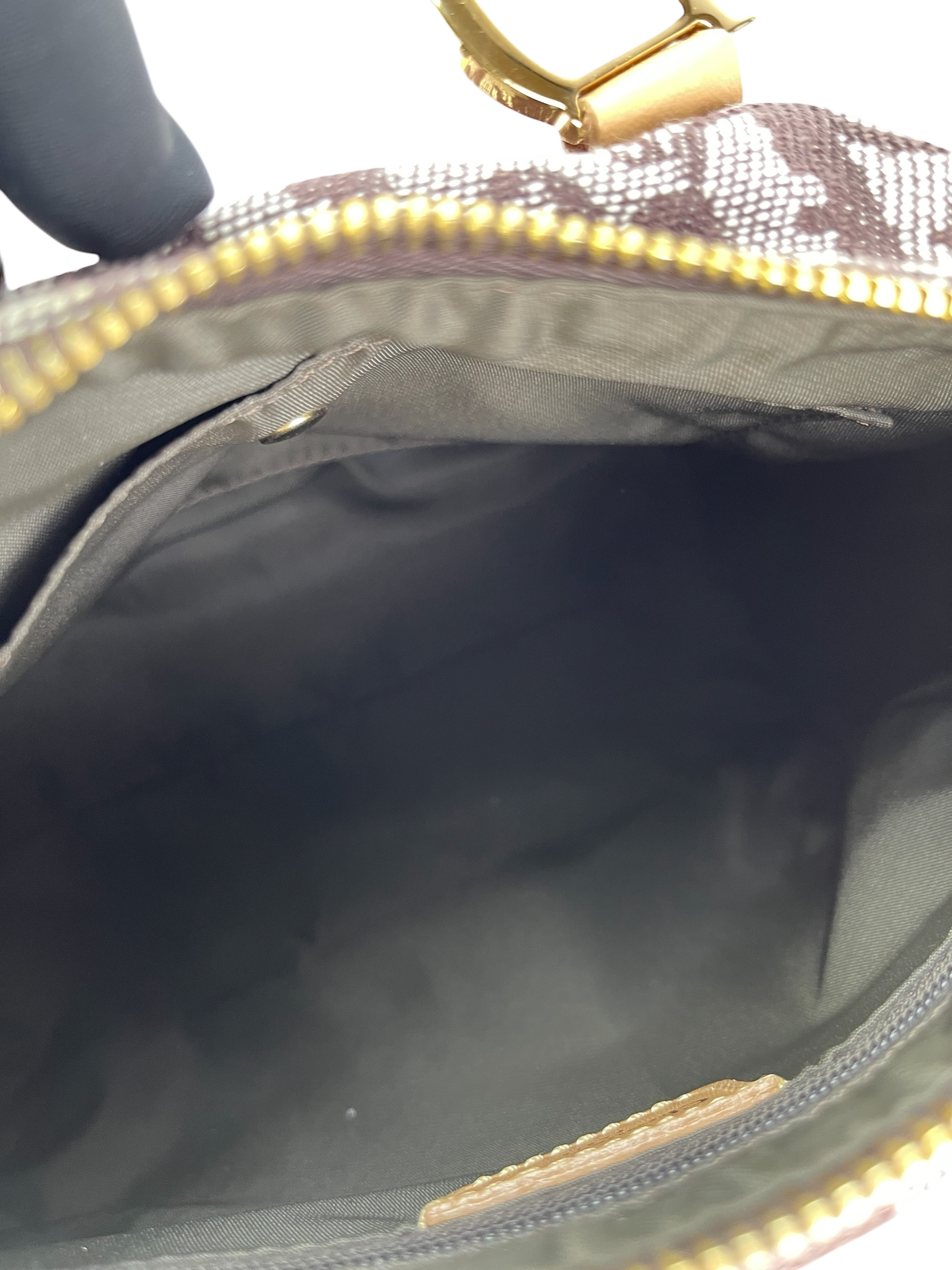 DIOR - Mini Monogram Trotter Boston Bag