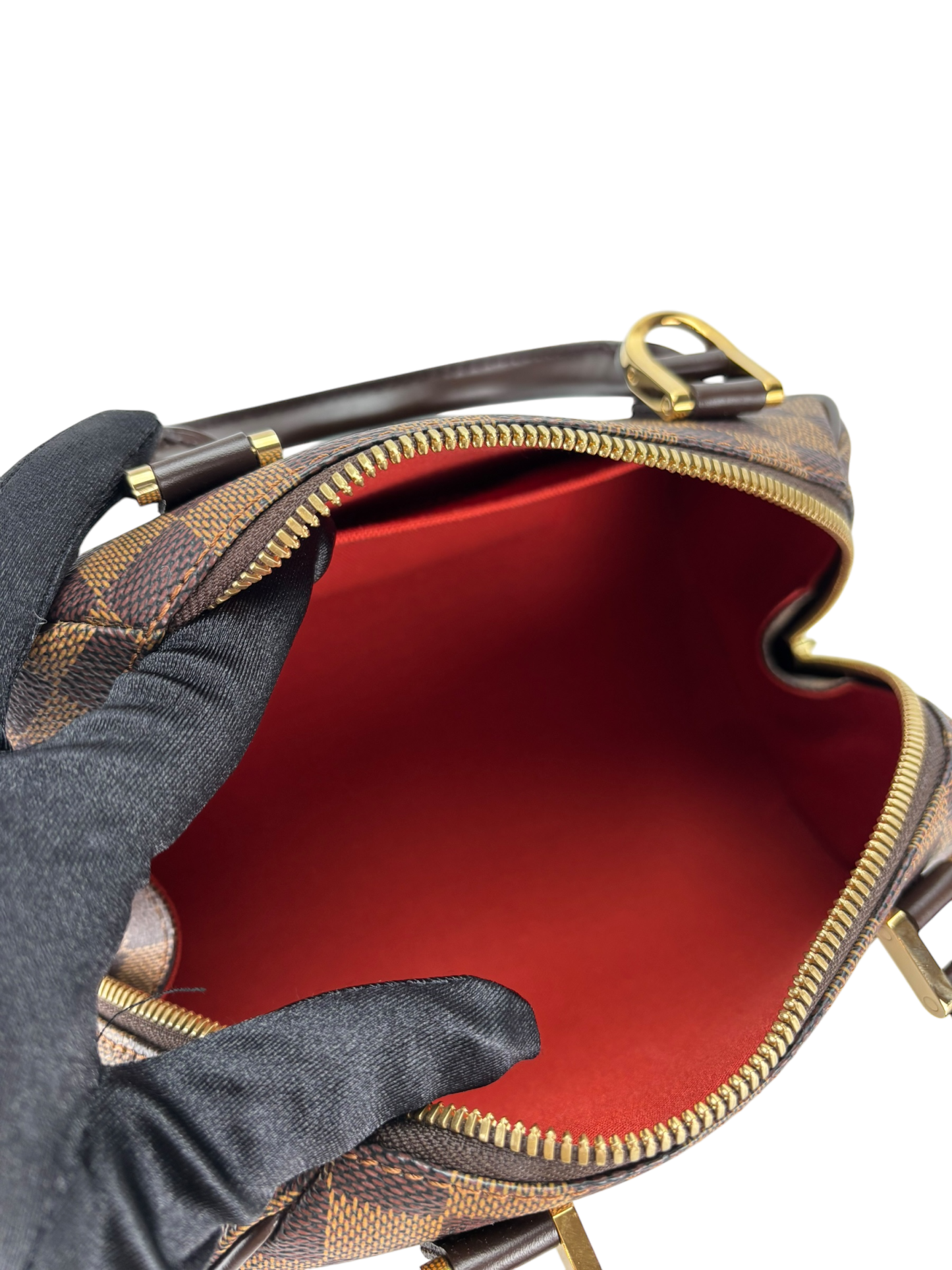 LOUIS VUITTON - Damier Ebene Ribera MM Handbag