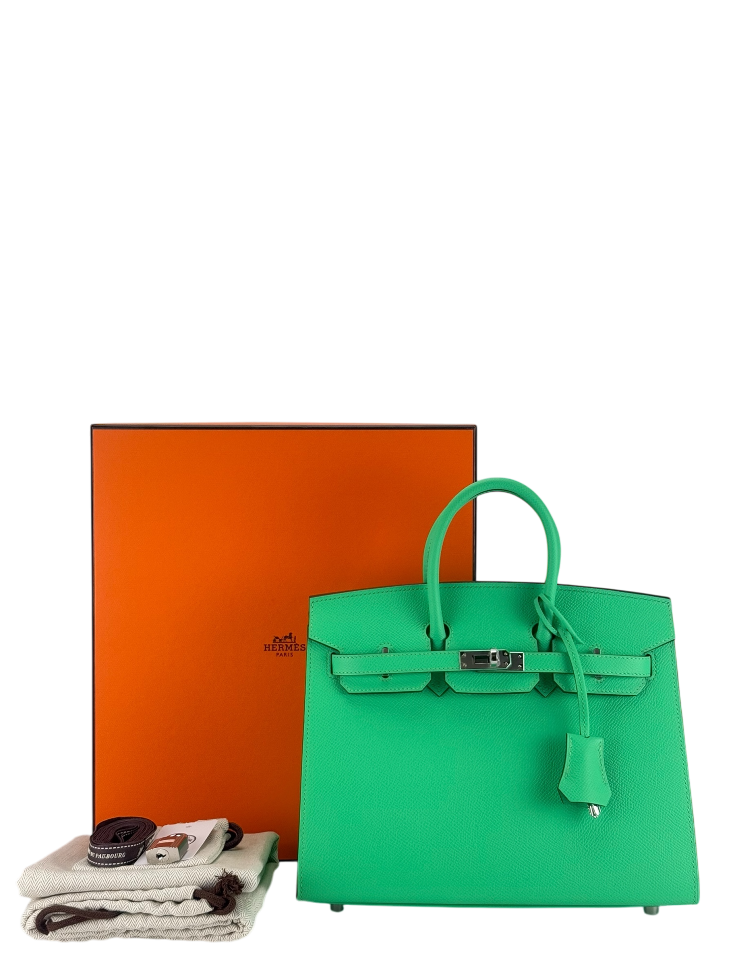 HERMES - Birkin 25 ）zVert Comics Epsom Palladium Hardware