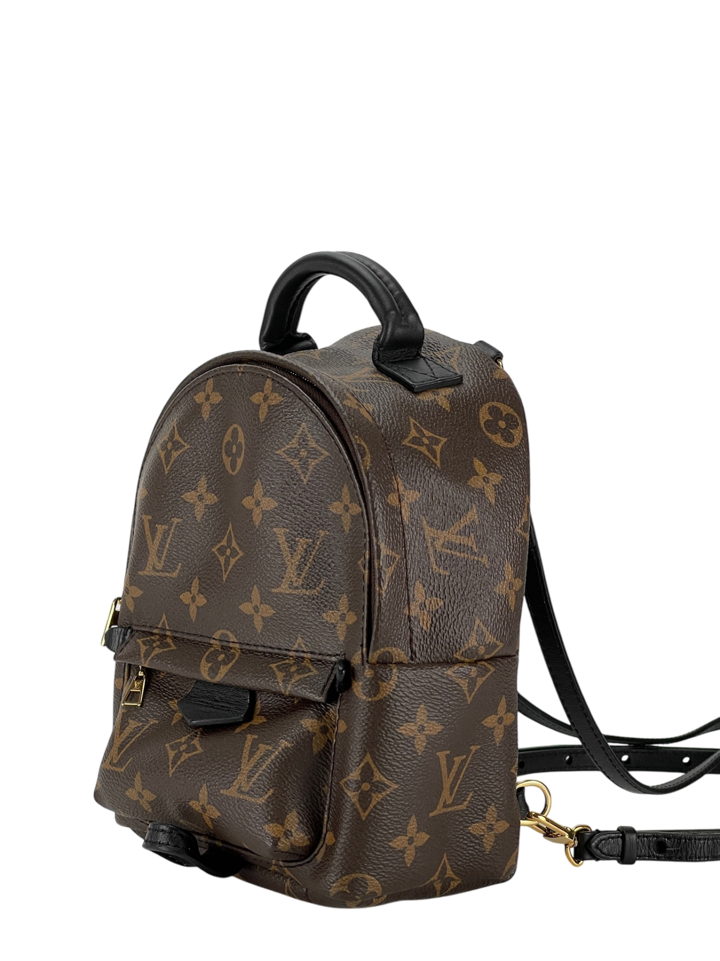 LOUIS VUITTON - Brown Canvas Monogram Mini Palm Springs