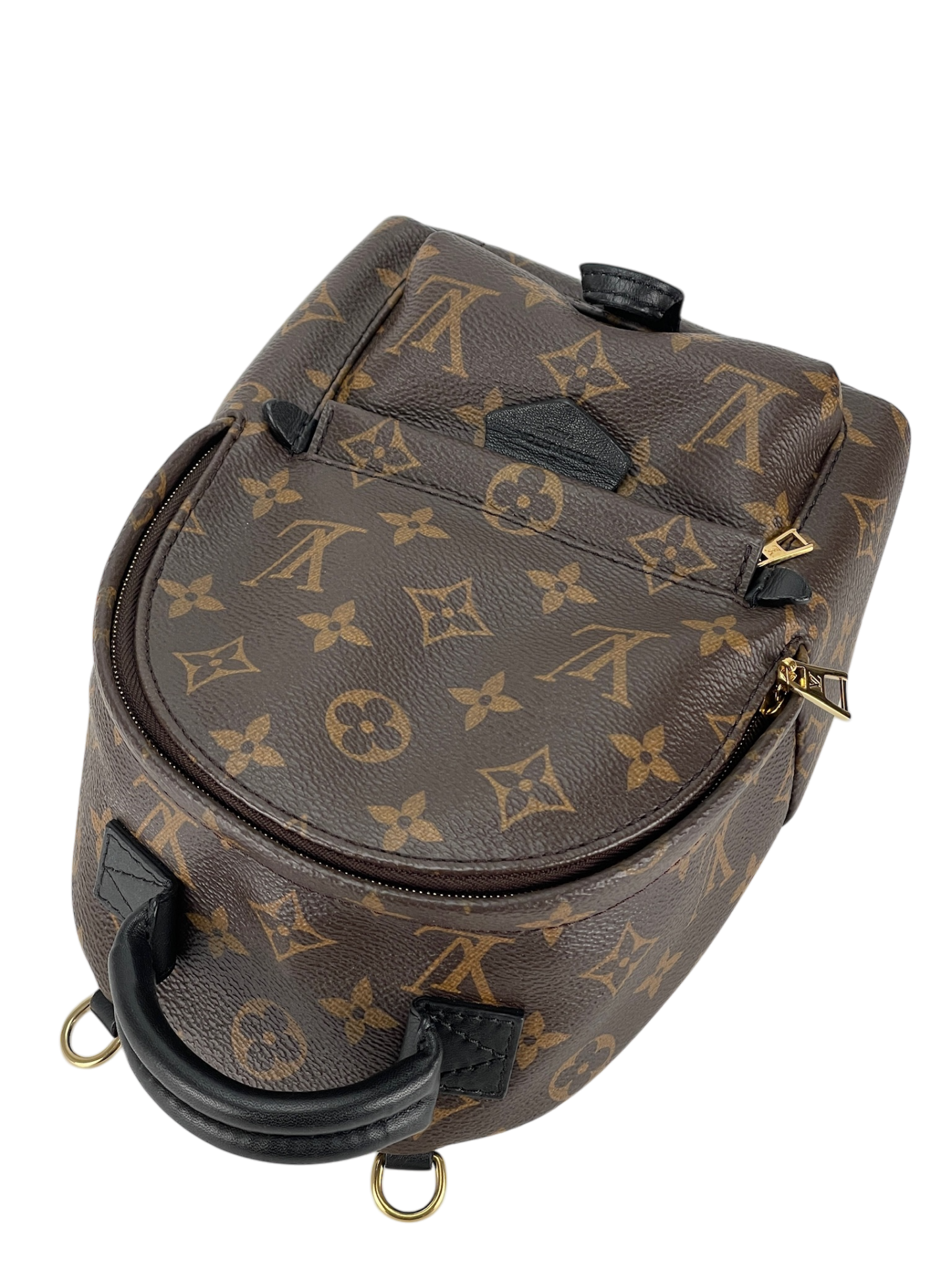 LOUIS VUITTON - Brown Canvas Monogram Mini Palm Springs