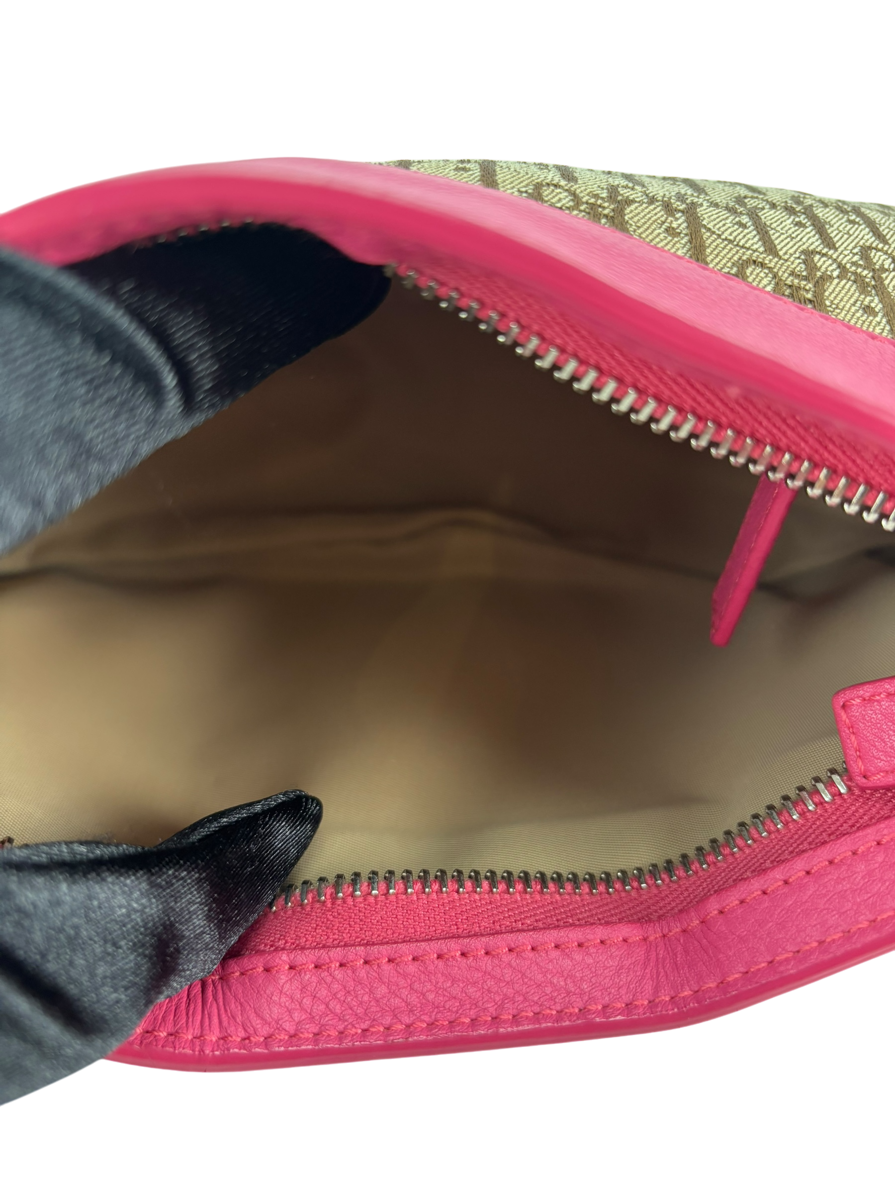 CHRISTIAN DIOR - Pink Brown Trotter Shoulder bag