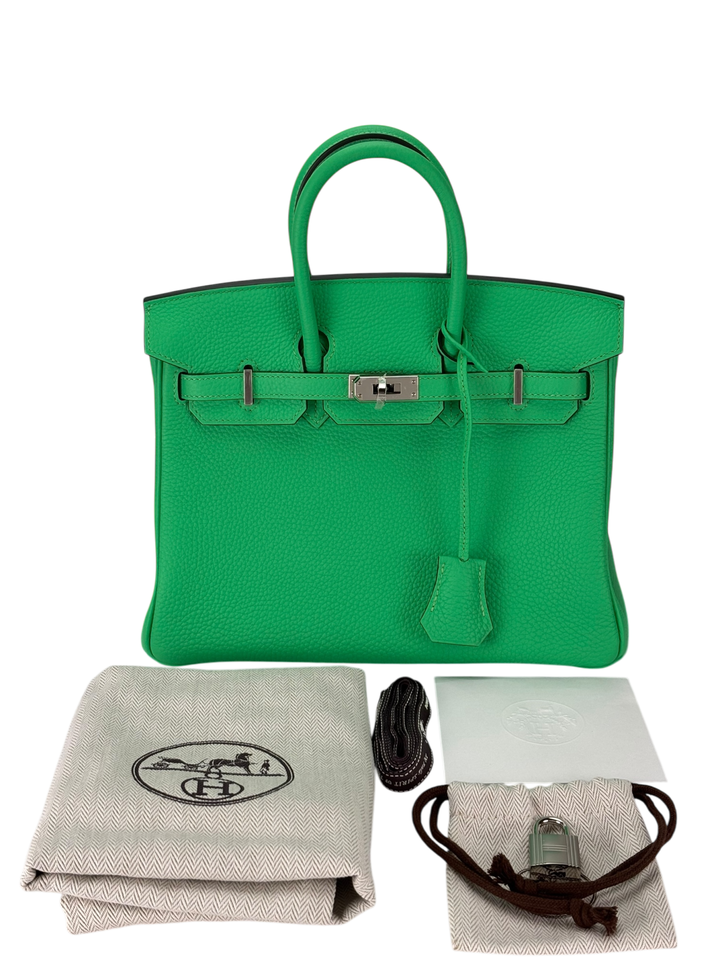 HERMES - Birkin 25 Togo Vert Comics Palladium Hardware