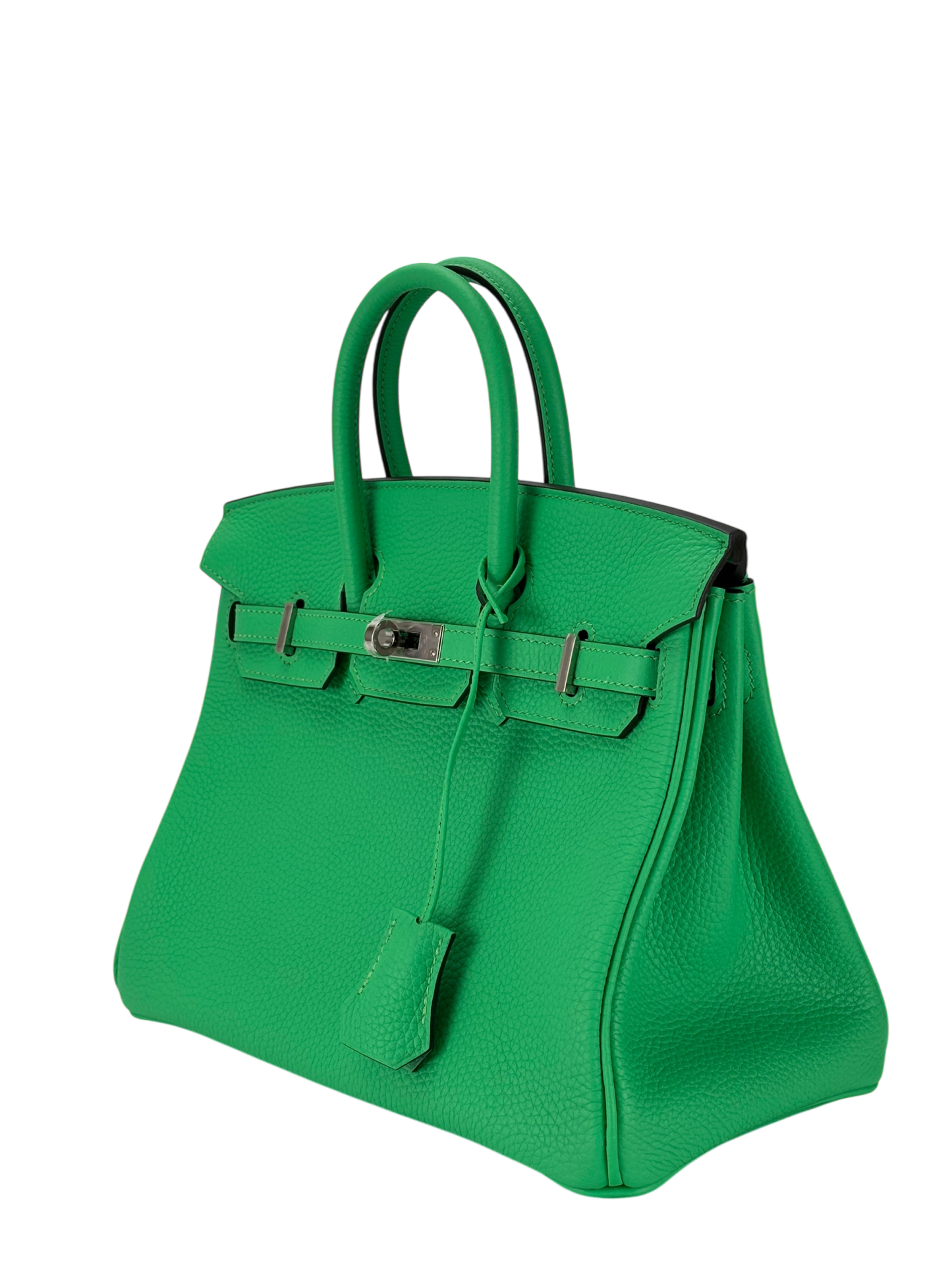 HERMES - Birkin 25 Togo Vert Comics Palladium Hardware