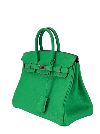 HERMES - Birkin 25 Togo Vert Comics Palladium Hardware 