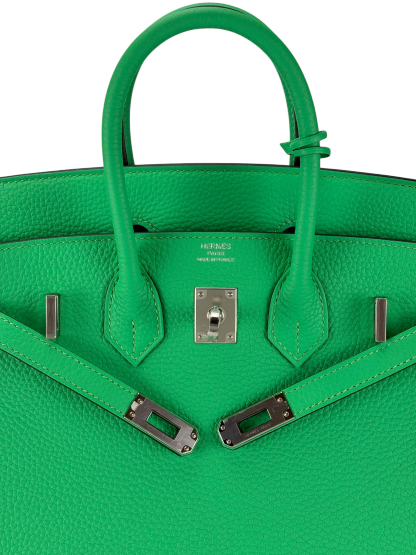 HERMES - Birkin 25 Togo Vert Comics Palladium Hardware 