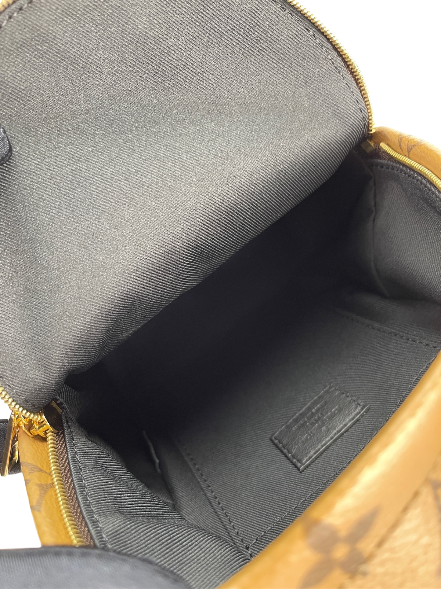 LOUIS VUITTON - Monogram Reverse Canvas Palm Springs Mini Backpack
