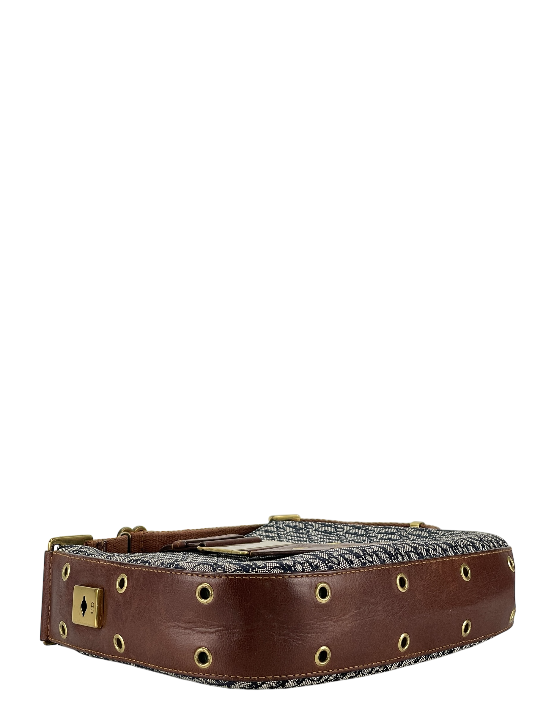 CHRISTIAN DIOR - Trotter Pattern Street Chic Shoulder Bag