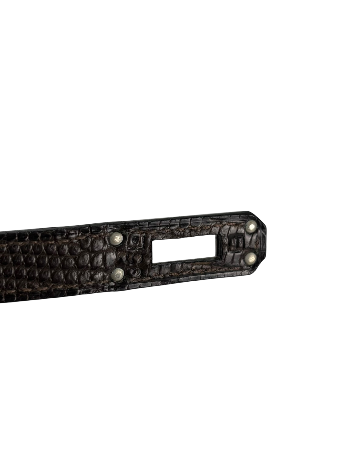 HERMES - Kelly 25 Ebenu Lizard Leather Ruthenium Hardware