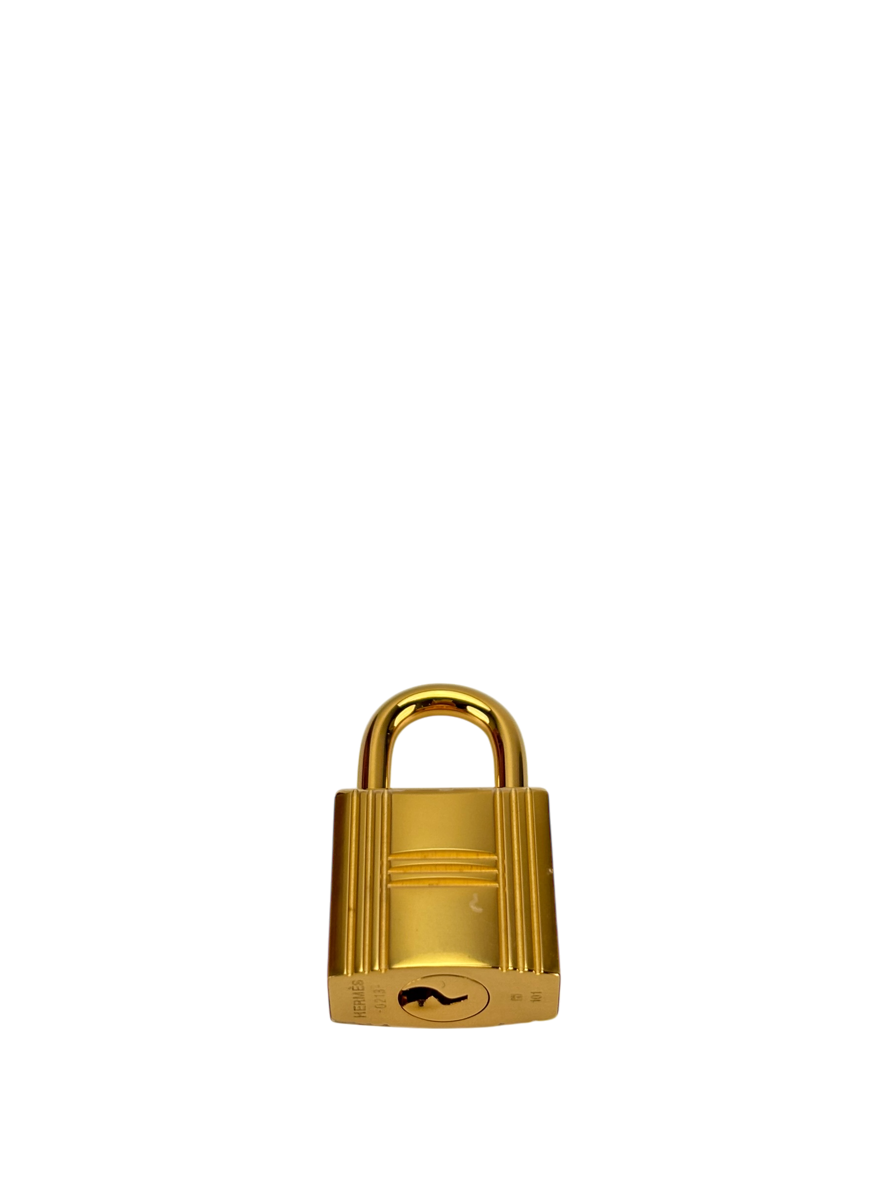 HERMES - Kelly 25 P9 Anemone Epsom Gold Hardware