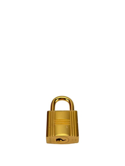 HERMES - Kelly 25 P9 Anemone Epsom Gold Hardware 