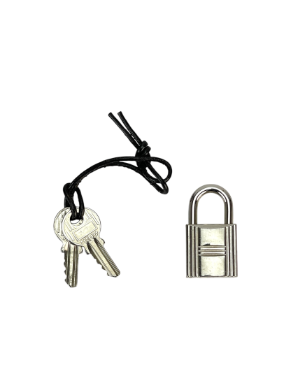 HERMES - Birkin 25 1K Bambou Epsom Sliver Hardware