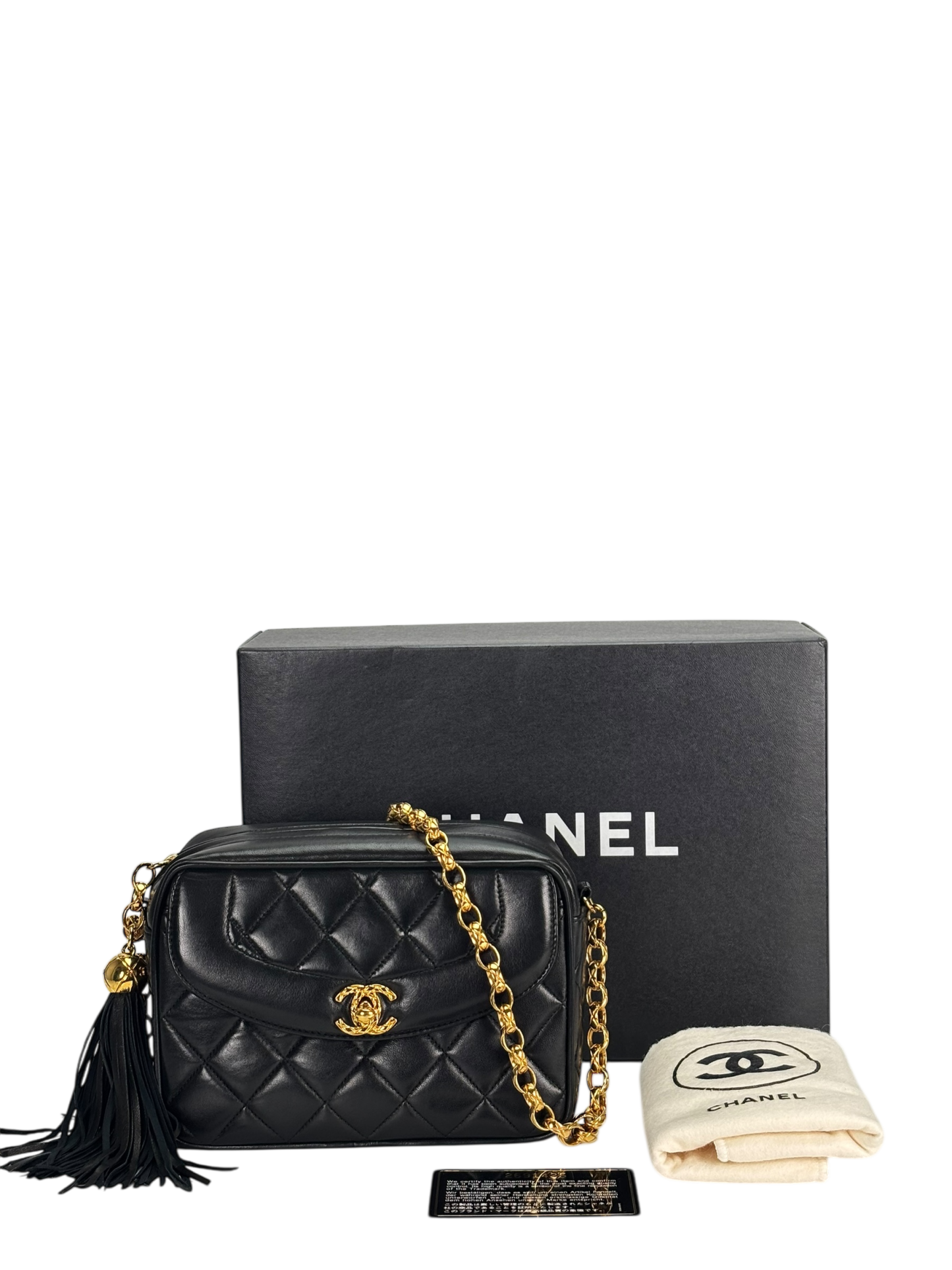 CHANEL -  Black Lambskin Mini Camera Bag
