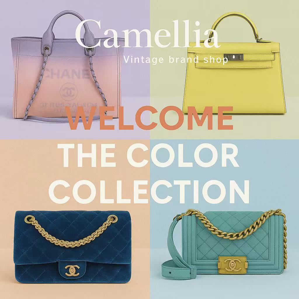 Welcome The Color Collection