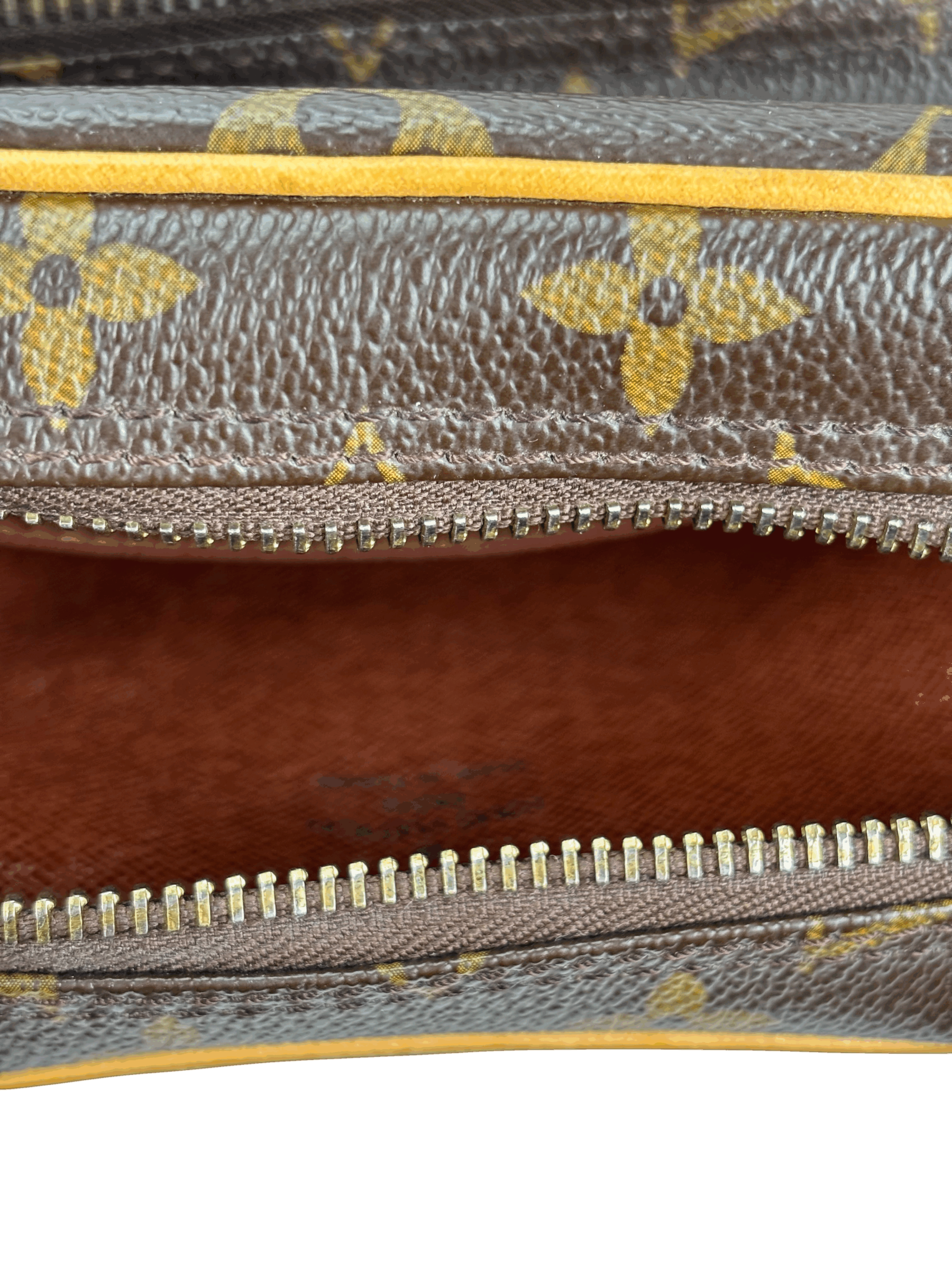 LOUIS VUITTON - Monogram Amazon Camera Shoulder bag