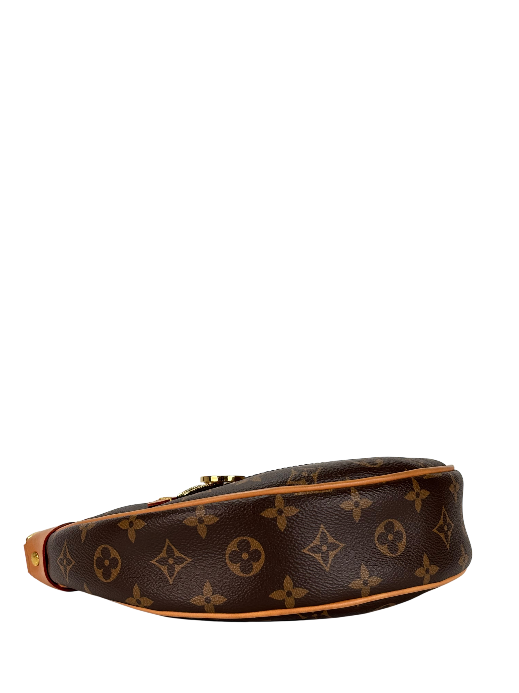 LOUIS VUITTON - Loop Monogram Canvas