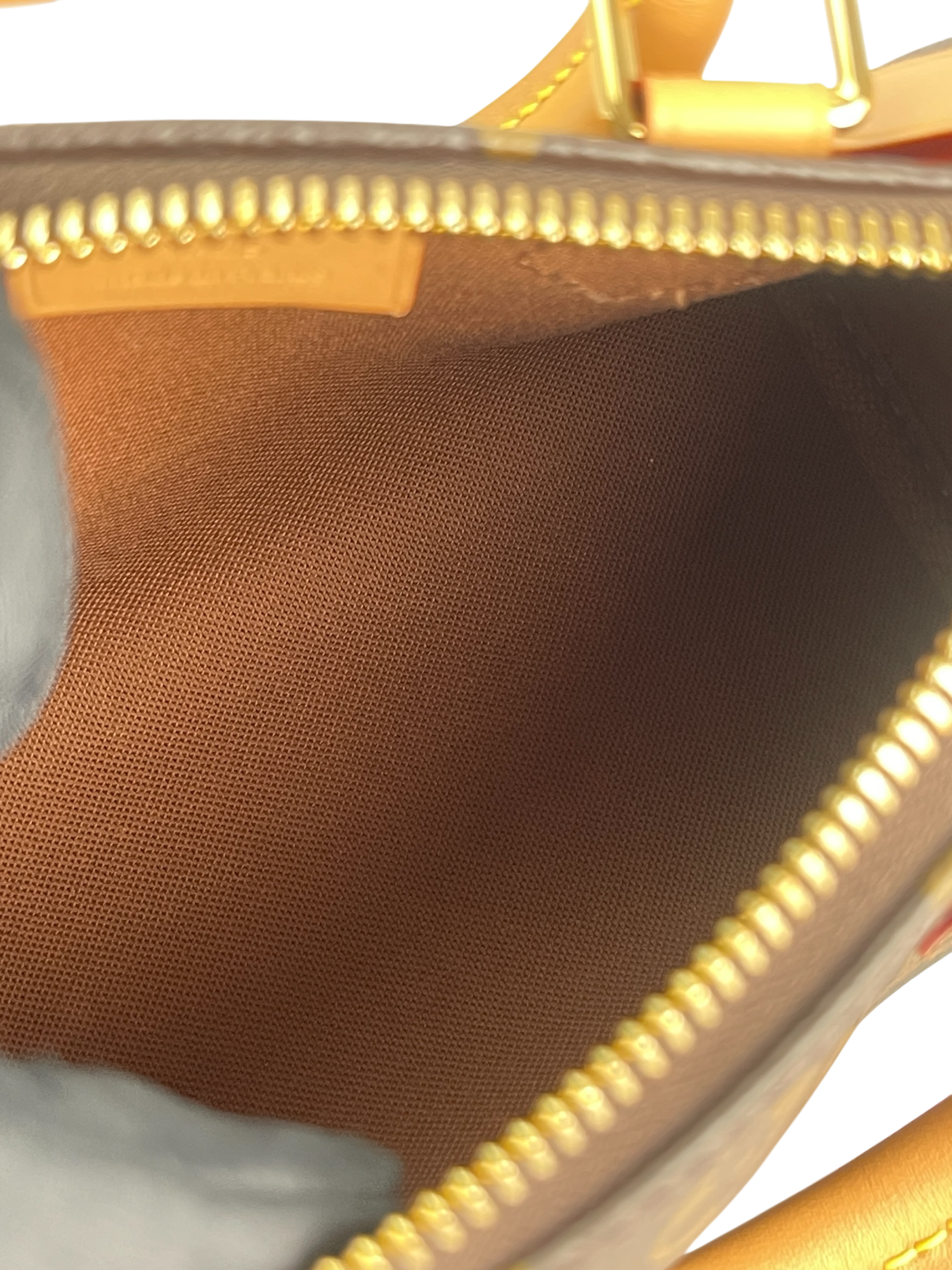 LOUIS VUITTON - Nano Speedy Monogram Canvas