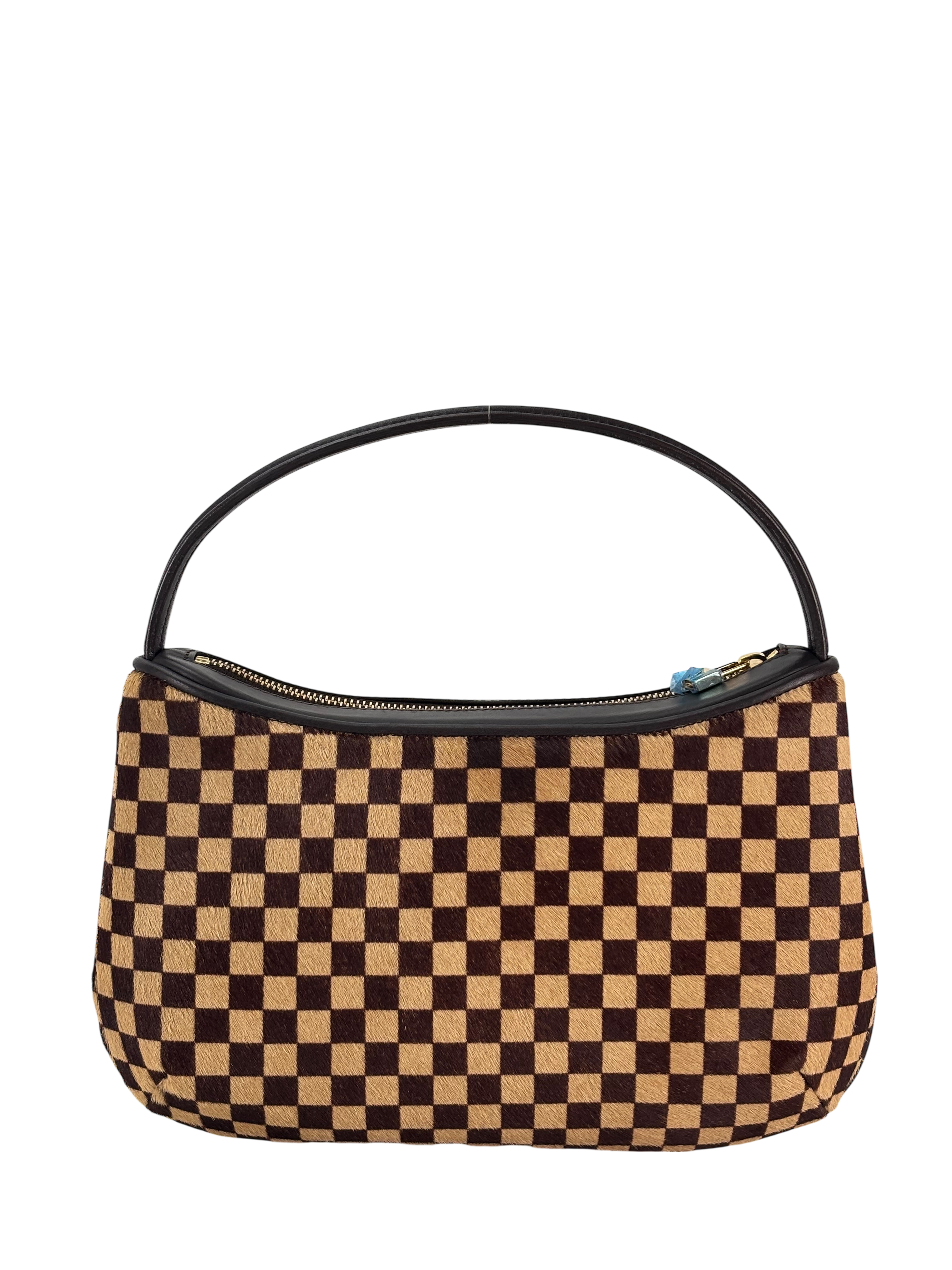 LOUIS VUITTON - Damier Sauvage Tigre Handbag