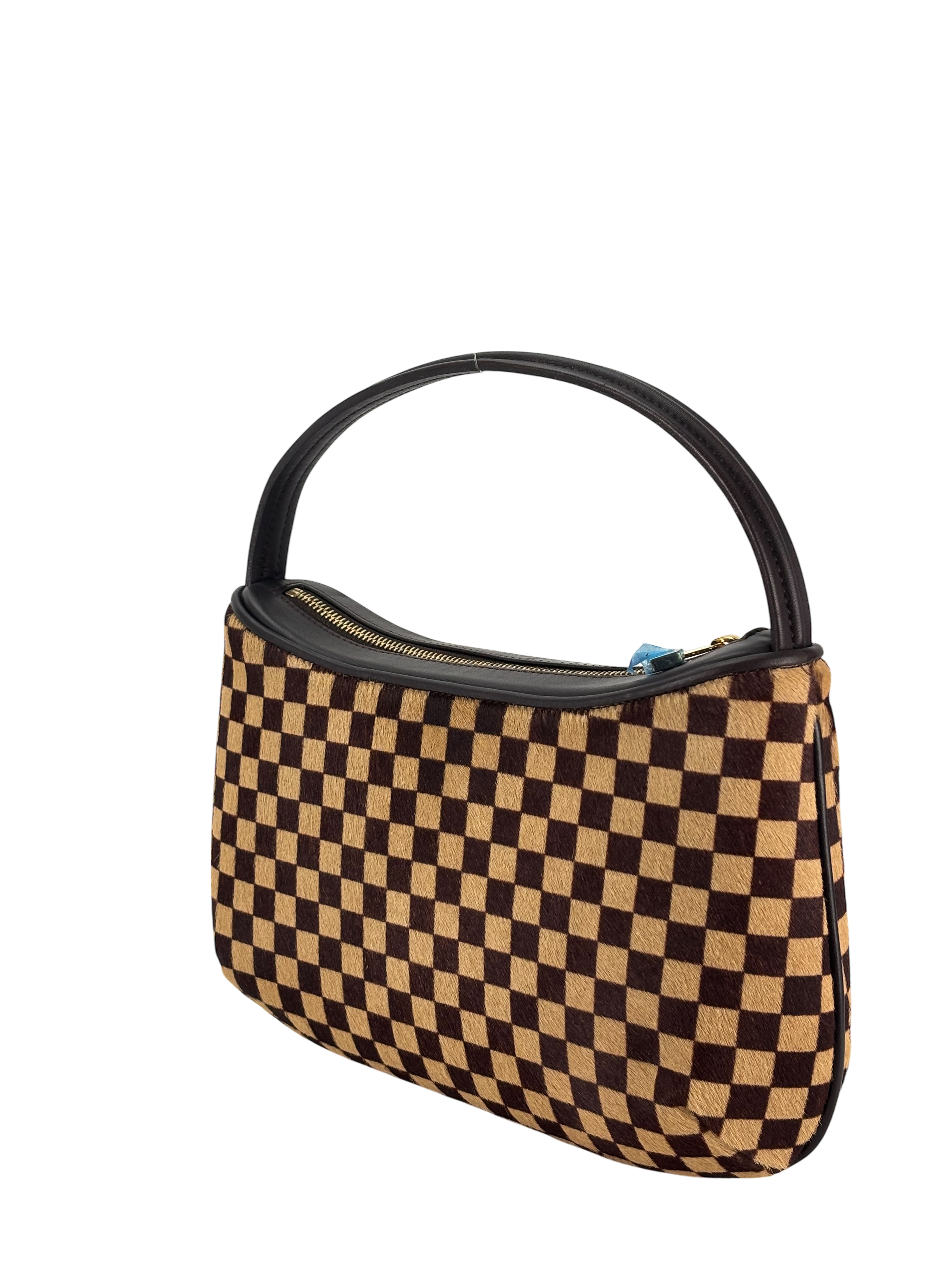 LOUIS VUITTON - Damier Sauvage Tigre Handbag