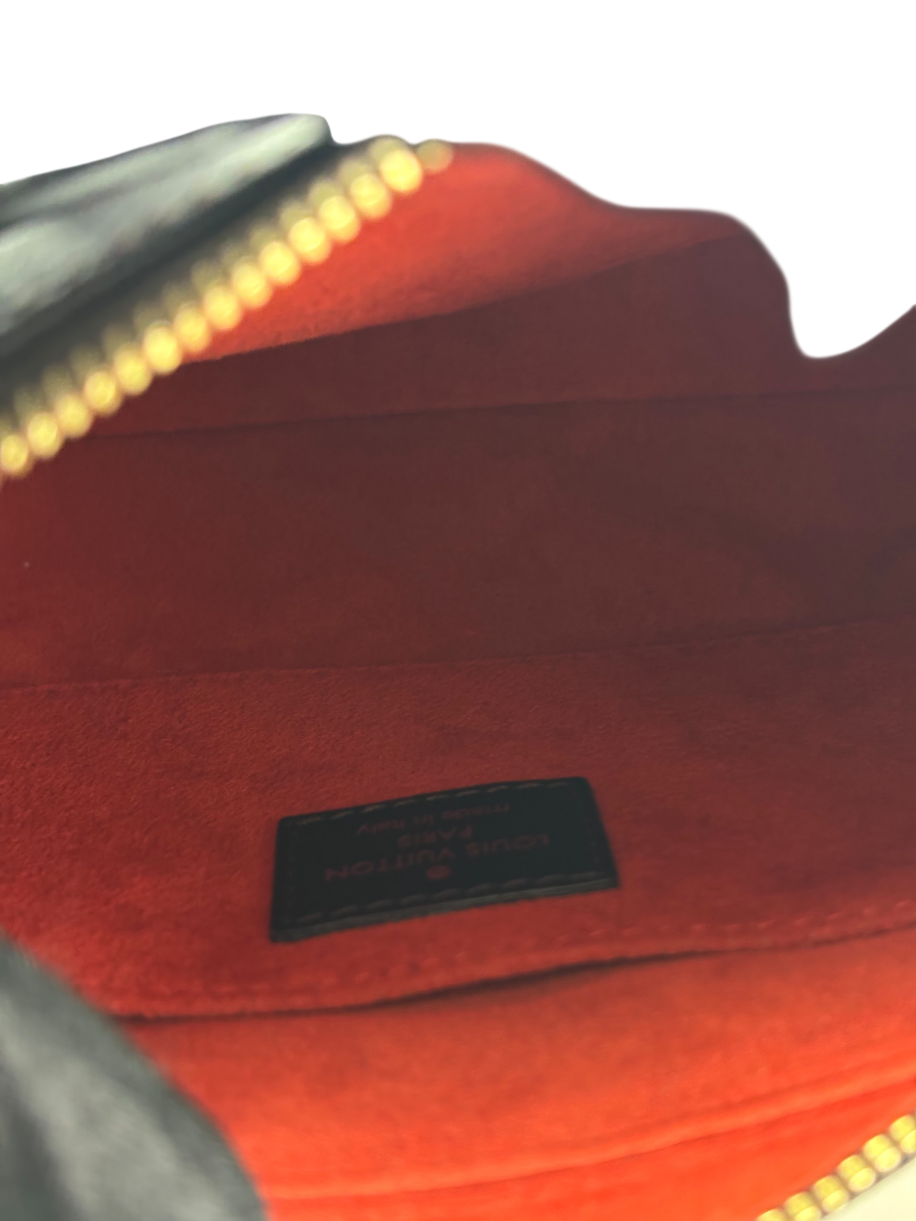 LOUIS VUITTON - Damier Sauvage Tigre Handbag