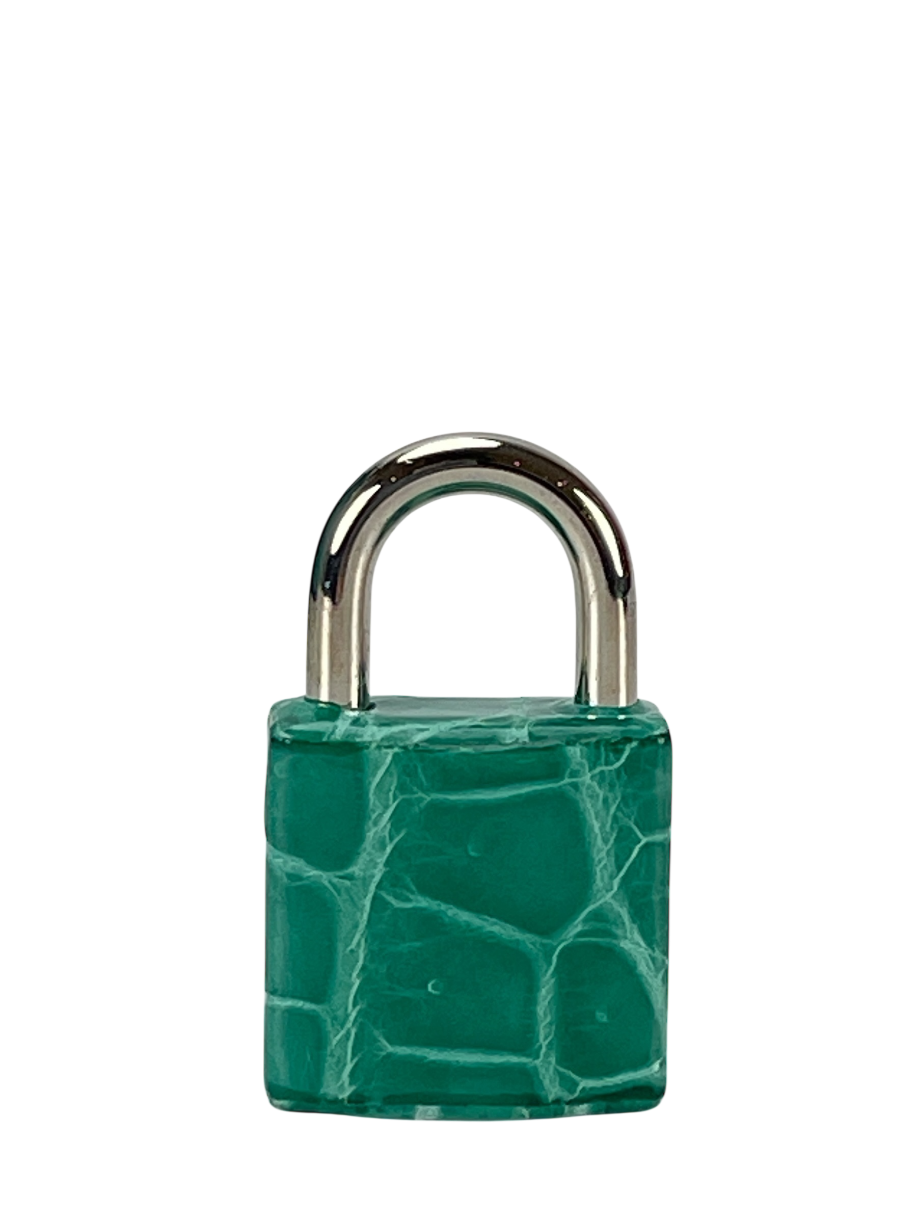 HERMES - Kelly 25 Vert Verone Madame Touch Bag Silver hardware