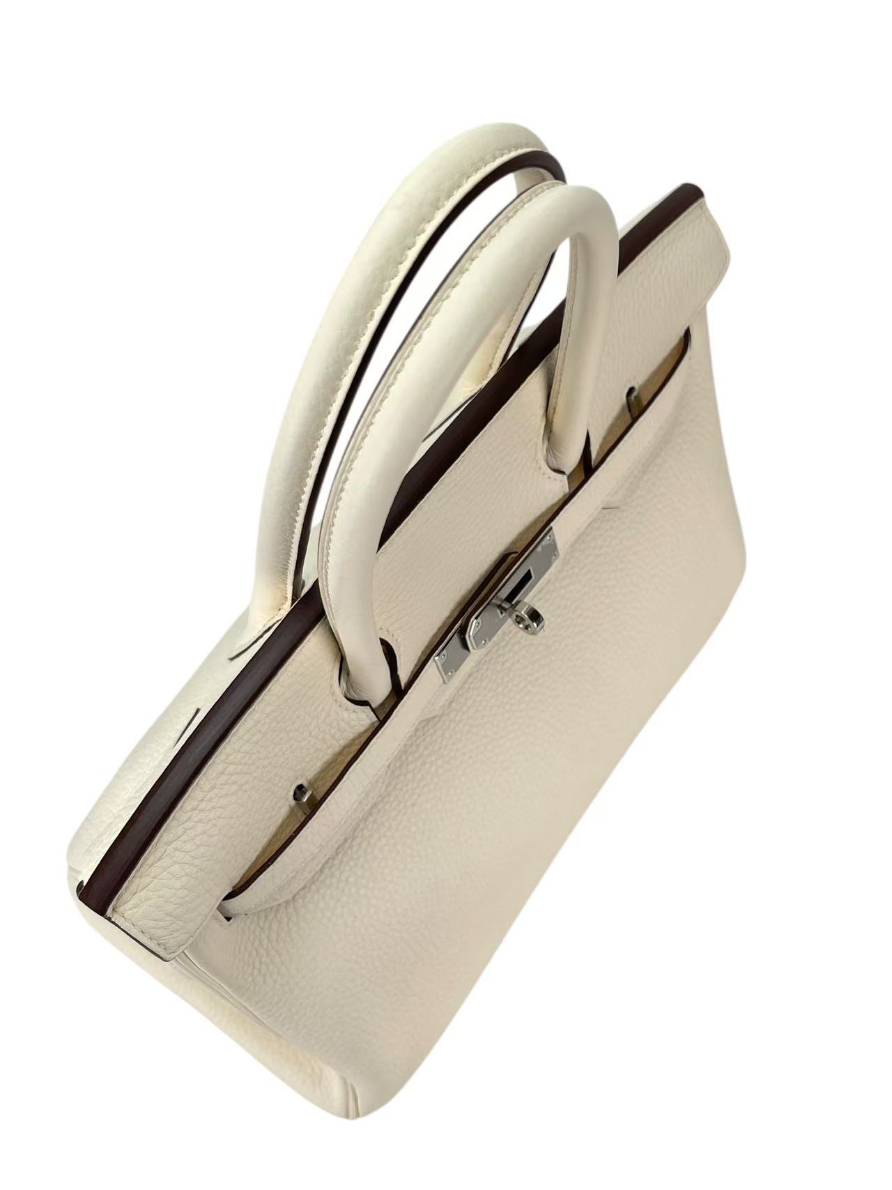 HERMES - Birkin 30 Nata Taurillon Clemence Palladium Hardware