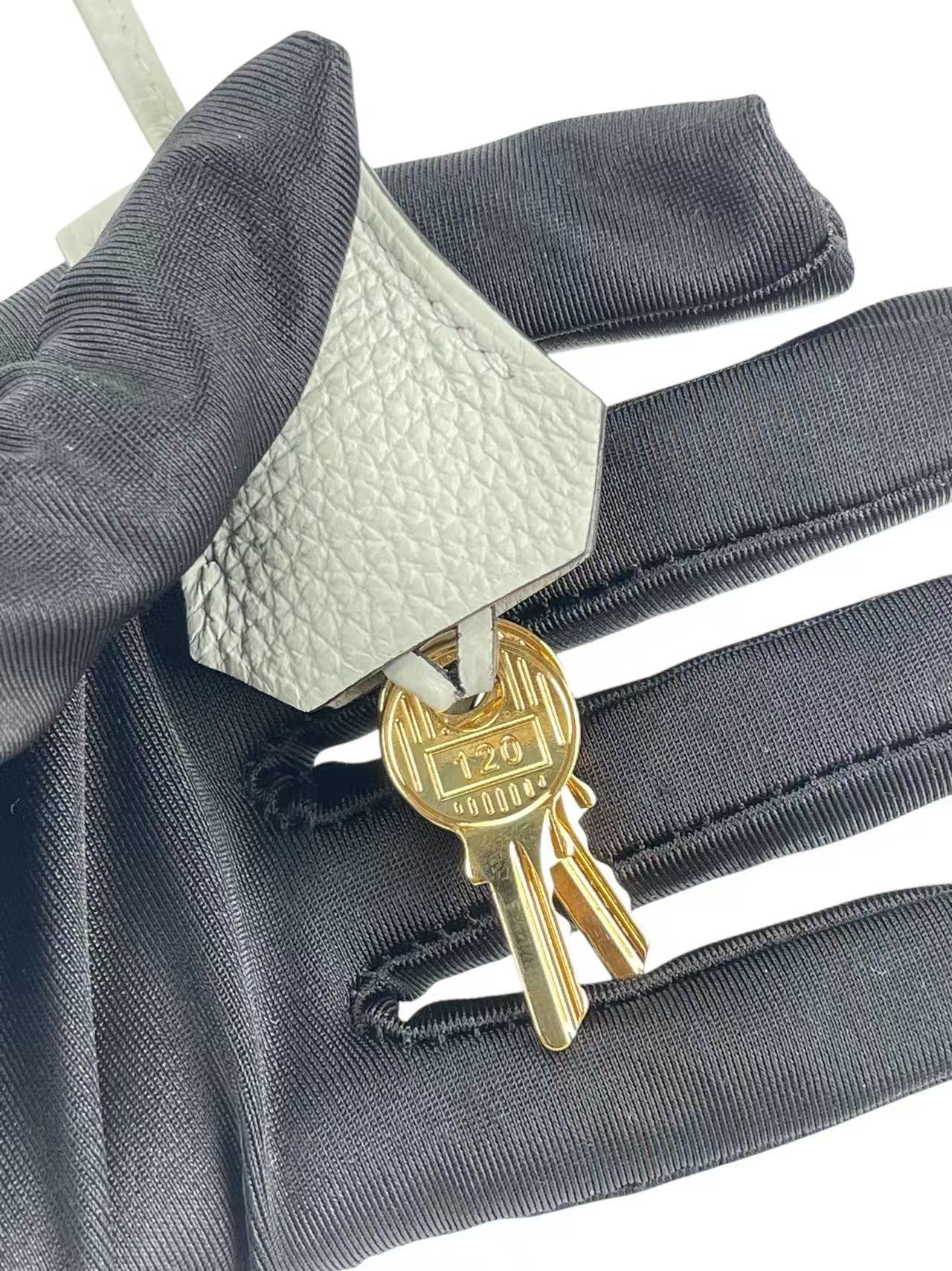 HERMES - Birkin 25 Gris Neve Togo Gold Hardware