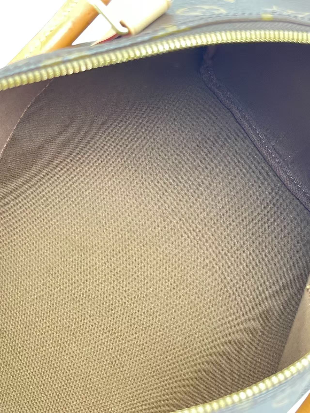 LOUIS VUITTON - Speedy 30 Handbag Monogram Canvas 2way