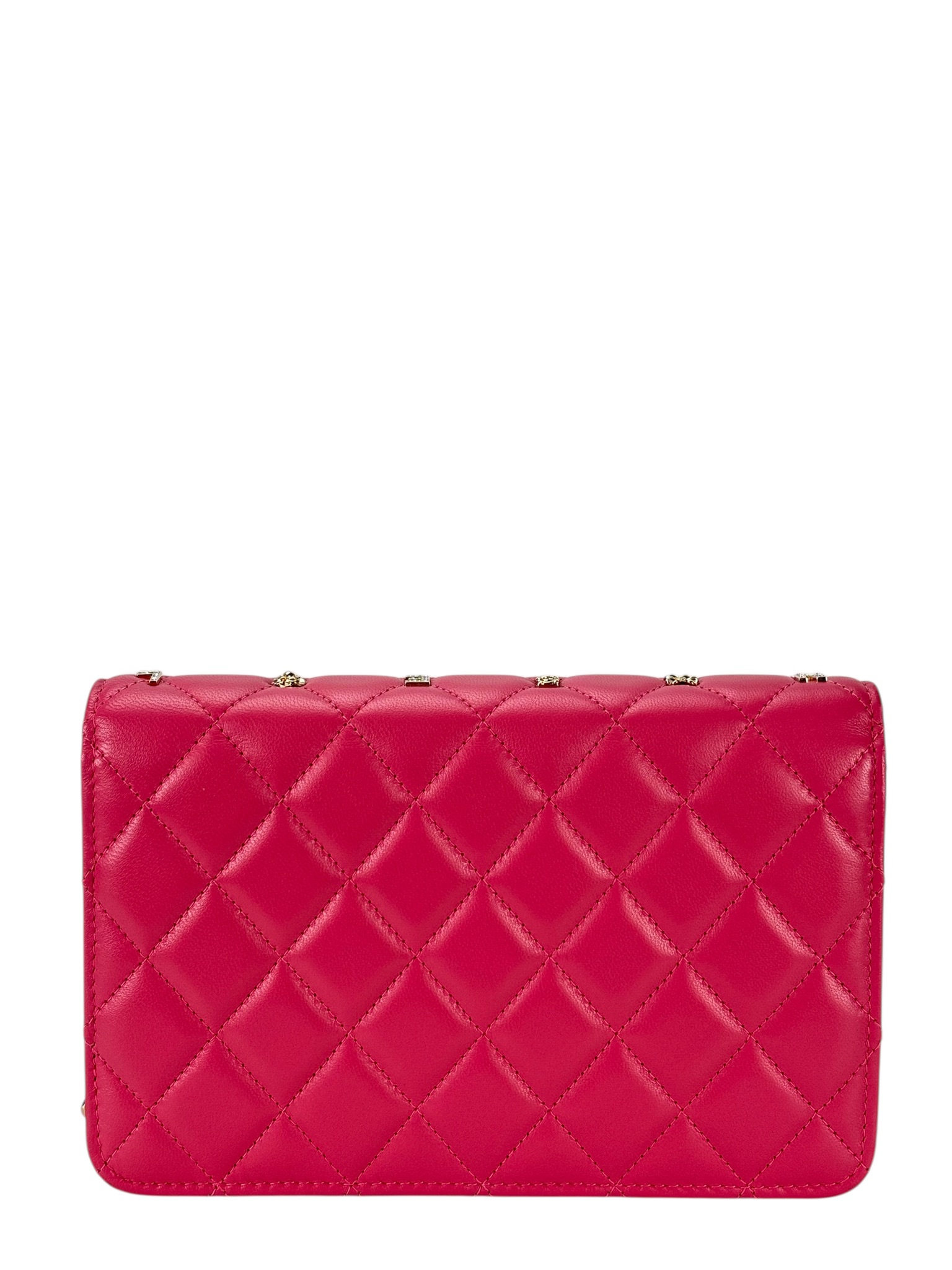 CHANEL - Pink Lambskin 19 Wallet On Chain (WOC)